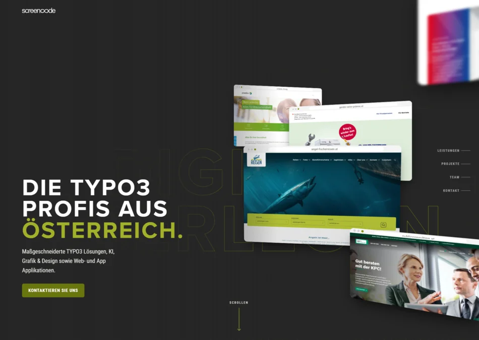 Showreel Website screenshot